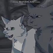 Коты Воители Иглохвостка И Тёмнохвост Клип Courtesycall