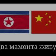 Мамонты Мы Вымираем