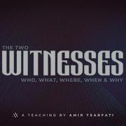 Amyr Witness