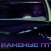 Раненые Птицы Песни