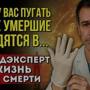 Мир Жизни И Смерти