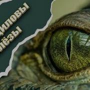 Лила Слёзы Крокодила