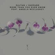 Sultan Shepard More Than You Ever Know Feat Angela Mccluskey
