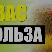 Почем Квас