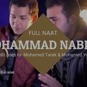 Muhammad Nabina Mohamed Tarek