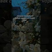 Ой Ёй Ёй Посмотрим Кто Круче