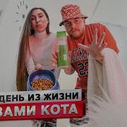 День Иж Жизни Кота