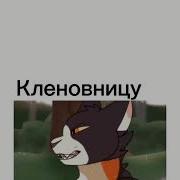 Легко Ненавидеть Кленовницу Тренд Из Тт