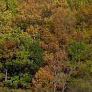 П Соборный Настала Осень