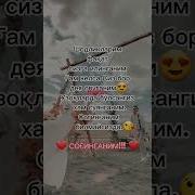 Согиндим Жоним Сени Видео