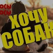 Хочу Собаку А Мне Не Разрешают