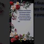 Ошикам Ошик Ба Руят