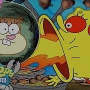 Spongebob Squarepants Official Nutts