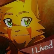 I Lived Warriors Pmv