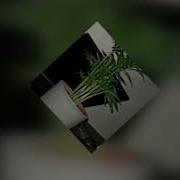 Люди Улыбаясь Сходят С Ума Speed Up