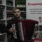 Электробаян Виктора Шевцова