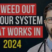 How To Get Weed Out Of Your System Fast Youtube