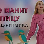 Клип Что Манит Птицу