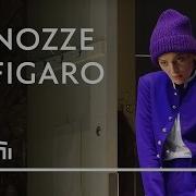 Le Nozze Di Figaro The Marriage Of Figaro K 492 Voi Che Sapete