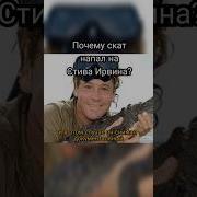 Дайвинг Для Крокодила