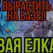 Как Выращивать Елки На Базе Новая Елка Скоро В Clash Of Clans