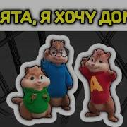 Домой Домой Домой Хочу Домой