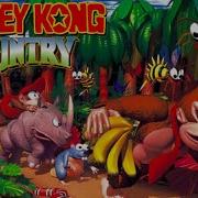 Donkey Kong Country