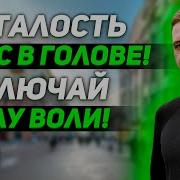 Усталость У Нас В Голове