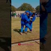 Sherali Jo Rayev Kurash Туйи
