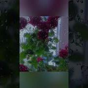Позвоните Маме Позвоните