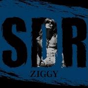 Ziggy Paradox No Niwade
