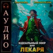 Идеальный Мир Для Лекаря 5 Аудиокнига