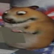 Хомяк Флексит Под Фонк