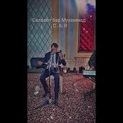 Махмадали Аюби Салавот Бар Мухаммад С А В