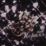 Нэнси Speed Up Ночной Коралл