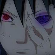 8 Percent Ciscaus Shinigami