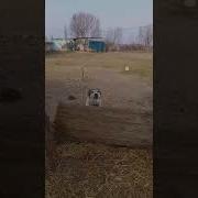 Все Мои Родные Богатые И Здоровые