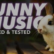 Bunnies Sounds