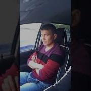 Казактын Жигиттери Арыстан