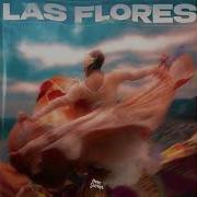 Las Flores Cavalli Morenita Jesús Fernández