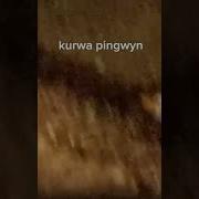 Курва Пингвин