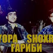 Styopa 2018 Модар Гарибии