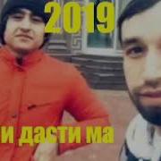 Shon Mc Rest Pro Ralik Гли Дасти Ма 2019