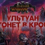 Тёмные Эльфы Фракции Total War Warhammer 3