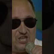 И В Питере И В Сочи Народ Напиться Хочет