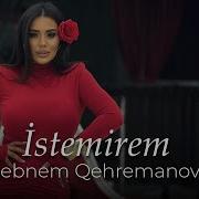 Sebnem Istemirem