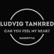 Can You Feel My Heart Ludvig Tankred