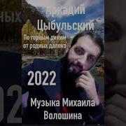 Аркадий Цыбульский 2022