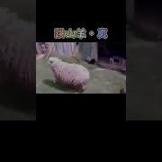 和谐社会救了你 诗南