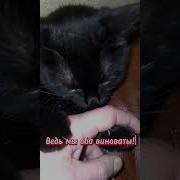 Давай Давай Мириться